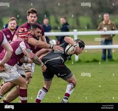 Image result for Ruislip Rfc