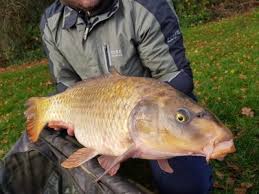 Image result for Weymouth Angling Society