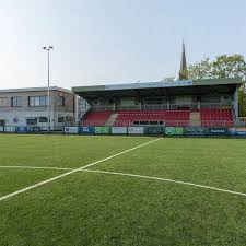 Image result for Dorking Wanderers F C