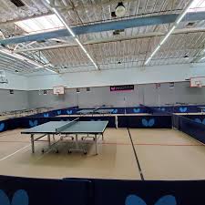 Image result for Pavilion Table Tennis Club