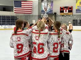 Image result for Team-Tigers Roller Hockey Club