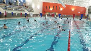 Image result for Kingston and Elmbridge Snorkellers
