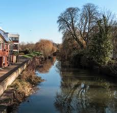 Image result for U3A Colchester Scrabble Club