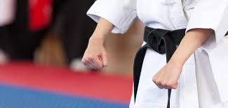 Image result for Swansea Taekwondo Club