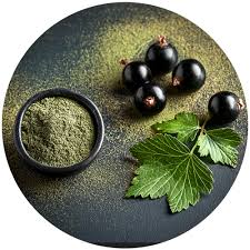 Attēlu rezultāti vaicājumam “Ribes nigrum leaf”