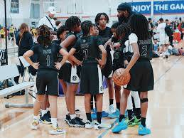 Image result for Blackpool Lights Ladies Basketball Club