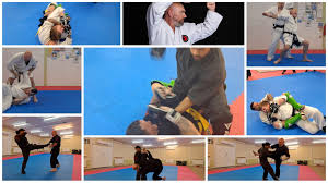 Image result for Bowerham Shotokan Karate Club