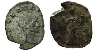 Attēlu rezultāti vaicājumam “Capsodes gothicus imago”