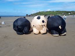 Image result for White Horse Kite Fliers Club