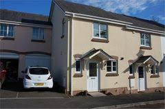 Image result for Newton Abbott Knights