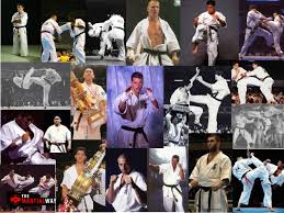 Image result for Kyokushin Karate