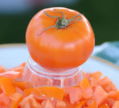 Afbeeldingsresultaat voor caro rich tomato