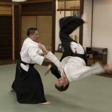 Image result for Harold Hill Aikido Club