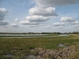 Image result for Lakenheath Indoor Bowls Club