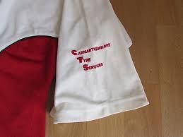 Image result for Carmarthen Wanderers Cricket Club