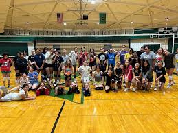 Image result for Southend handball club