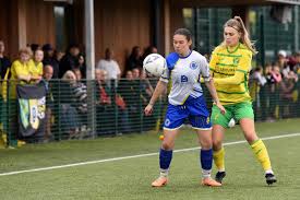 Image result for Haywards Heath Town Ladies Football Club