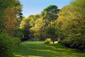 Image result for Bracken Ghyll Golf Club