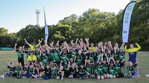 Image result for New Milton Cricket Club