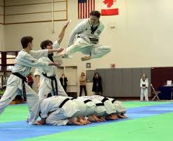 Image result for Universal Judo Academies