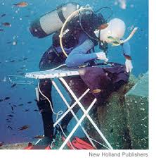Image result for extreme ironing