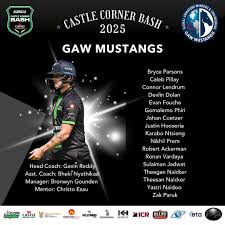 Image result for Antelope & Castle Cricket Club