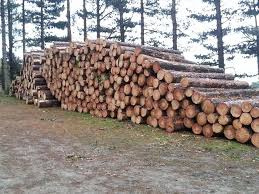 Image result for Powerball Paintball, Brighouse, West Yorkshire