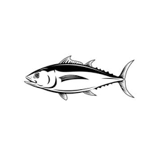 Image result for Thunnus alalunga