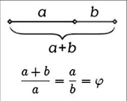 Image result for numero aureo