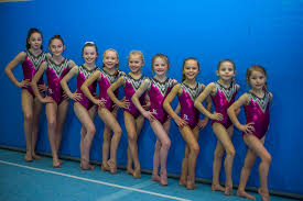 Image result for Tamworth Olympic Gymnastics Club