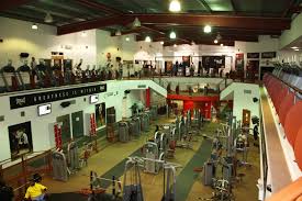 Image result for London Shootfighters