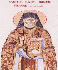 Image result for Sfântul Tit