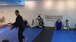 Image result for Precision Martial Arts