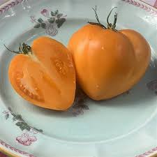 Afbeeldingsresultaat voor erdie family oxheart tomato