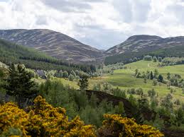 Image result for The Cairngorm Club