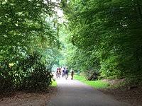 Image result for sonsbeek park