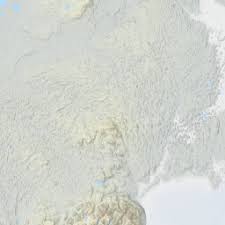 Attēlu rezultāti vaicājumam “Furcellaria lumbricalis”