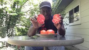 Afbeeldingsresultaat voor kosmonaut volkov 68D tomato