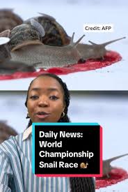 Image result for World Snail Racing Championships