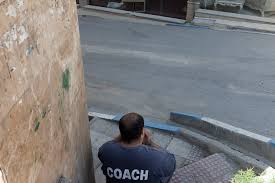 Image result for selvatici tehron