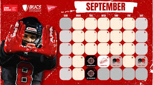 Image result for Uwe Bristol Bullets