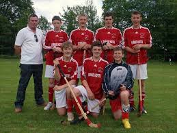 Image result for Lochcarron Camanachd