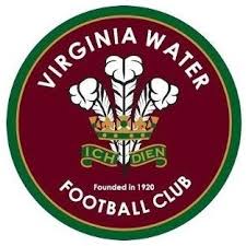 Image result for Burpham Juniors Fc