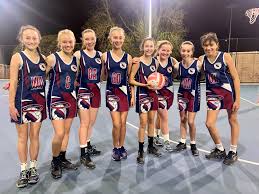 Image result for Moredon Netball Club