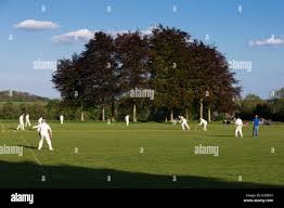 Image result for Marnhull Cricket Club
