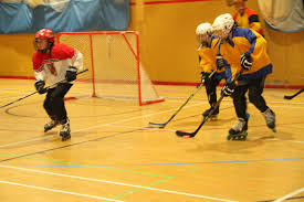 Image result for Team-Tigers Roller Hockey Club