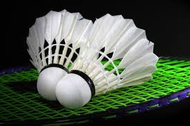 Image result for Church Hill Badminton Club