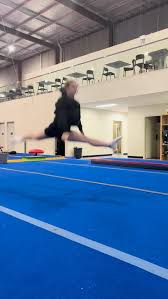 Image result for Aero Gymnastics Club
