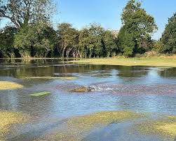 Image result for Grimsby Town Cricket Club