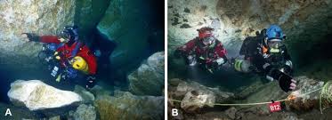 Image result for Mole Valley Sub Aqua Club